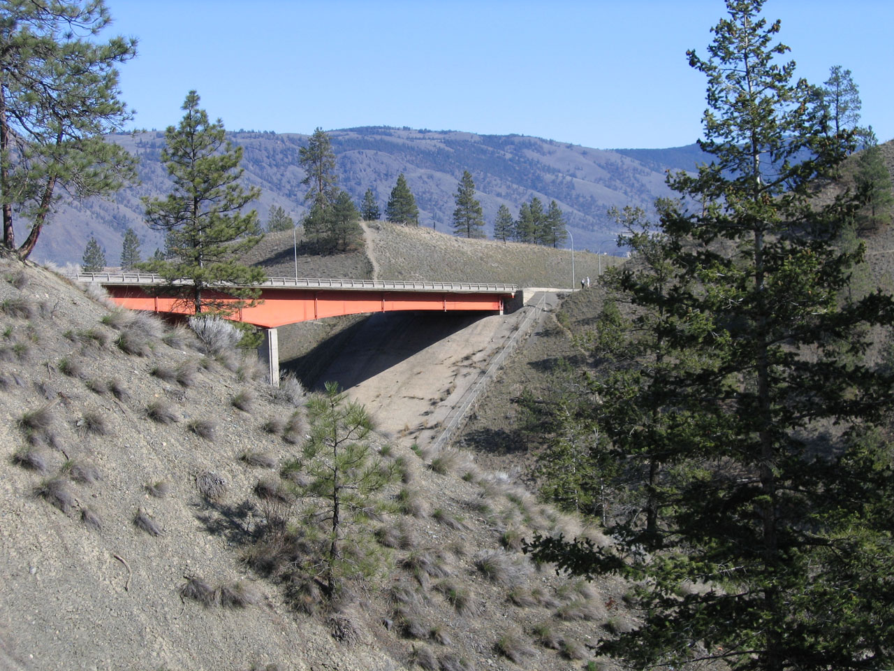 View of Peterson Creek Bridge from walking trails