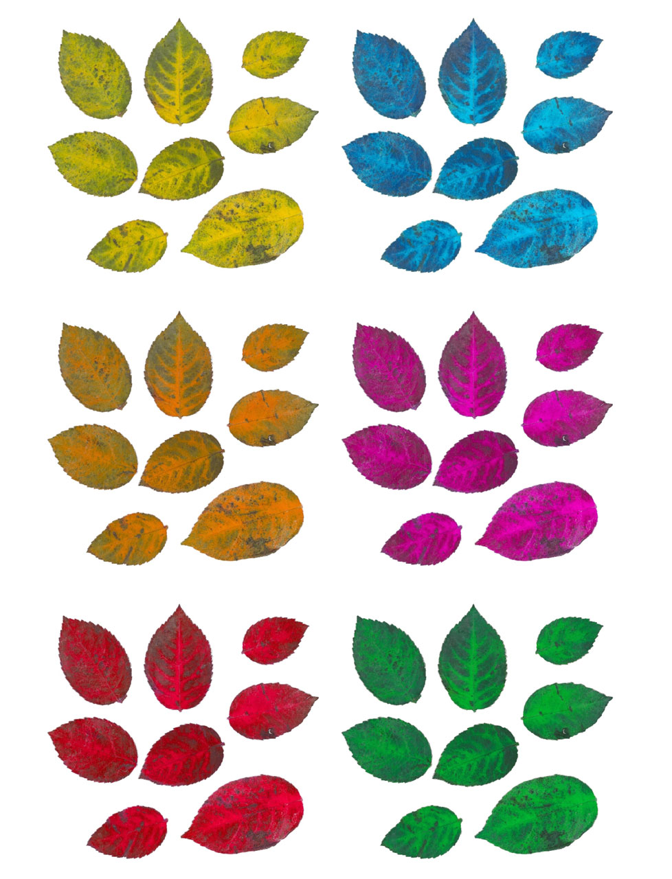 Leaves Collage Sheet