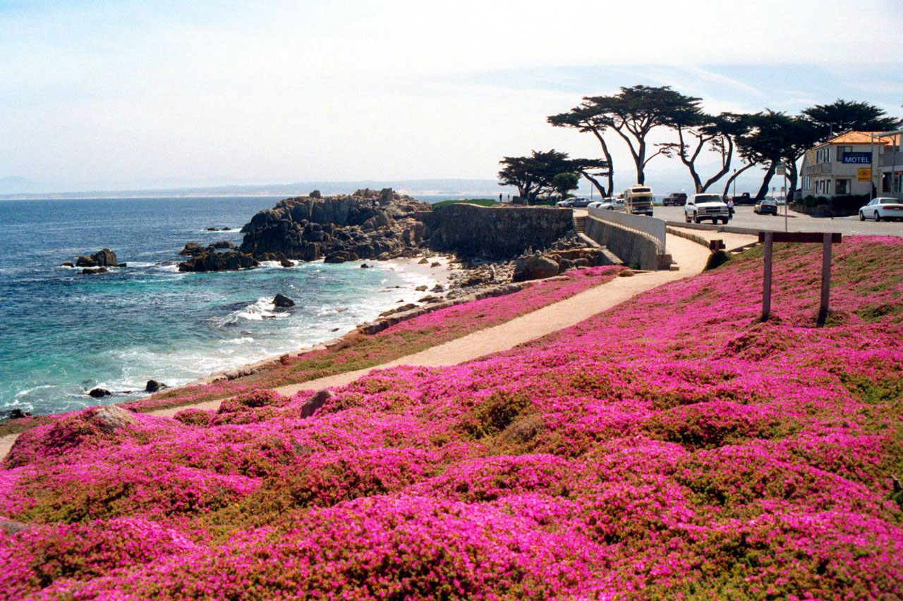 Pacific Grove-Monterey Calif