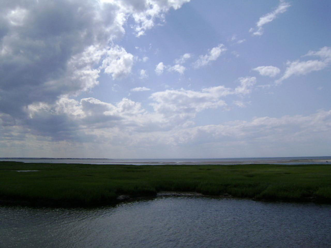 A view of a salt marsh