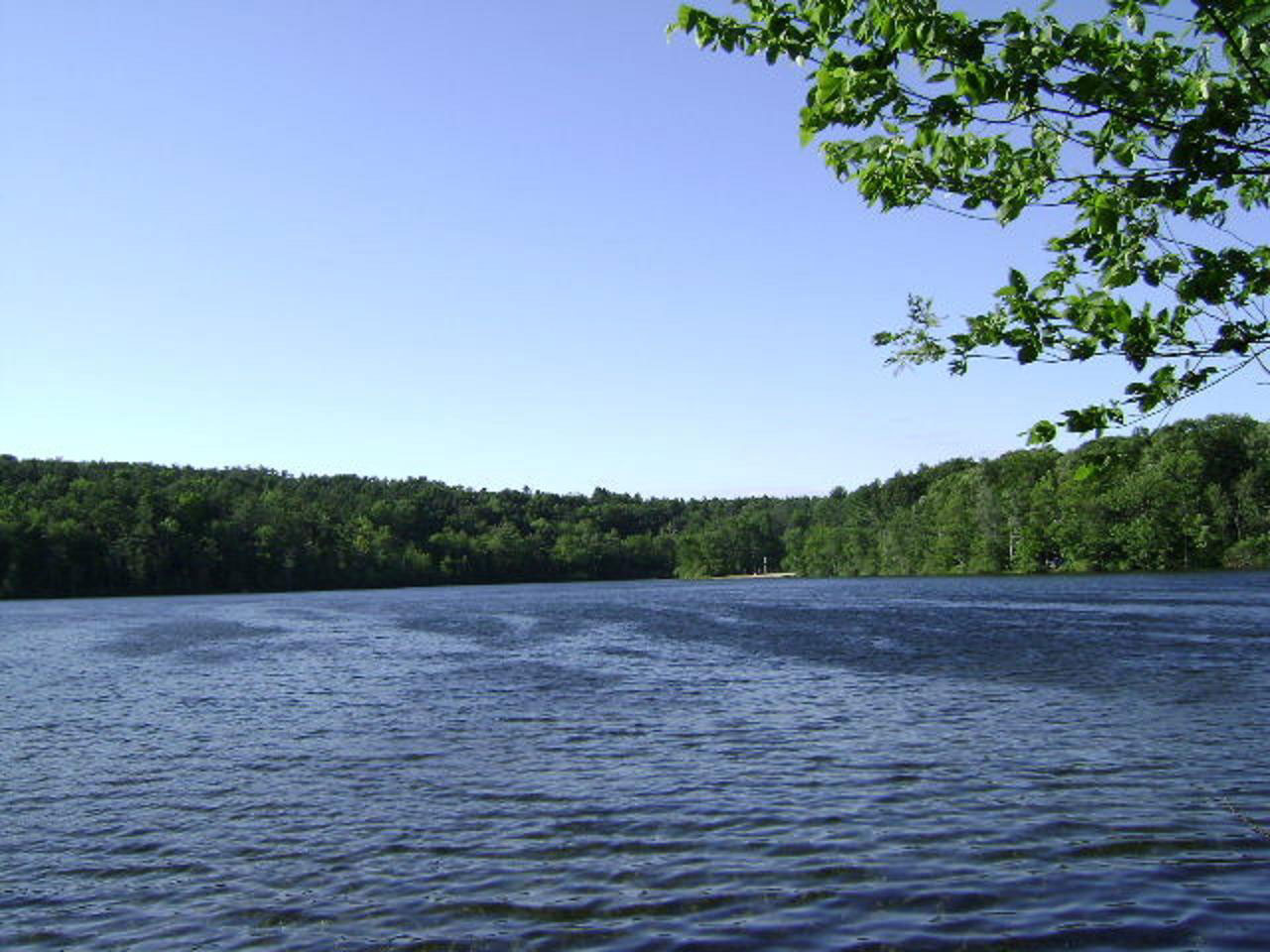 A pretty lake scene