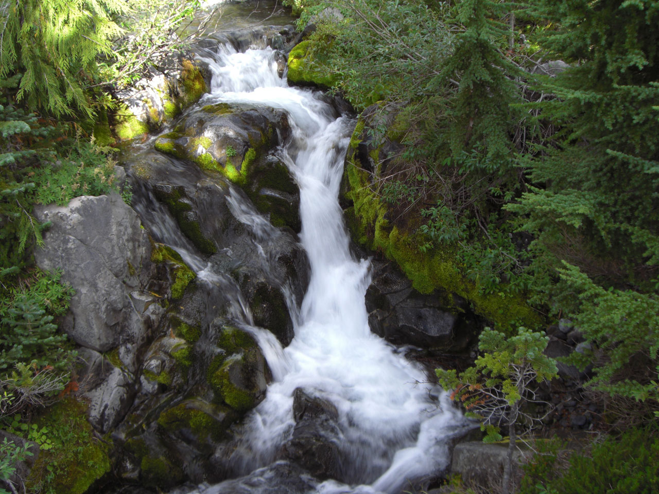 A waterfall in Paradise, Mount Rainier National Park.