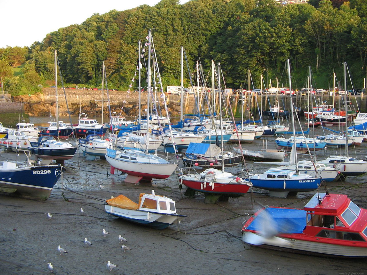 Boats in a Harbor in the UK