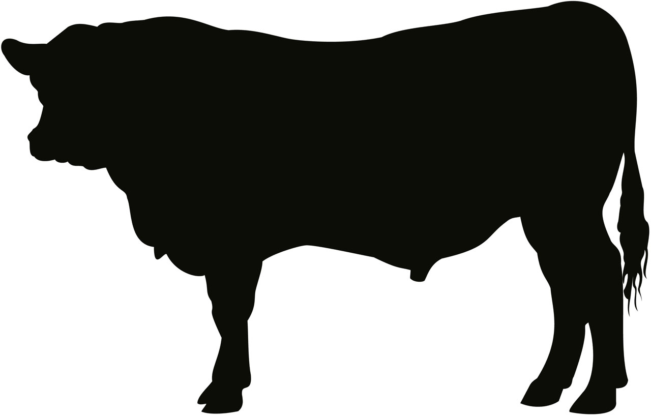 Digital art silhouette of an angus bull