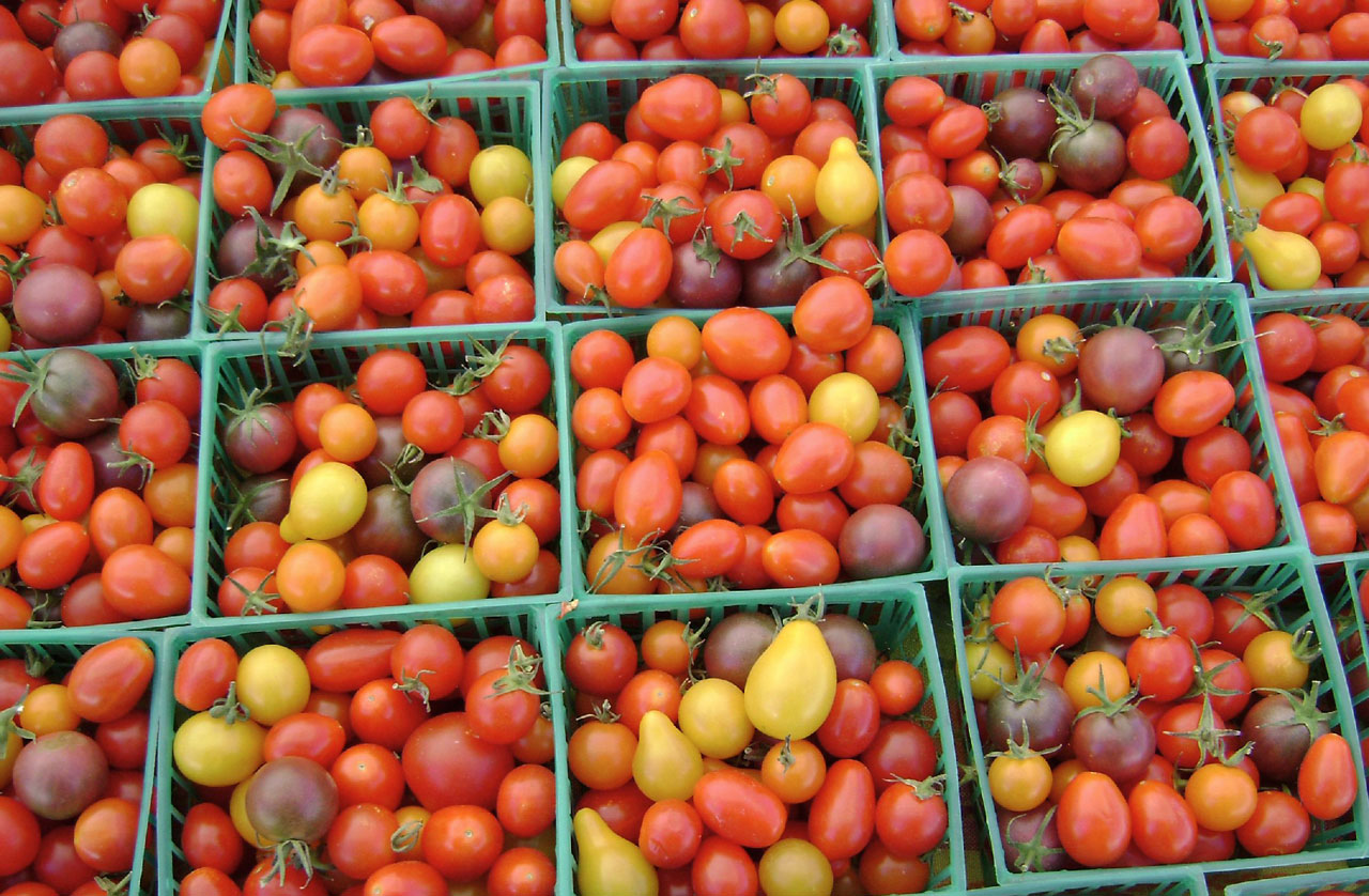 Cherry Tomatos at farmer's market