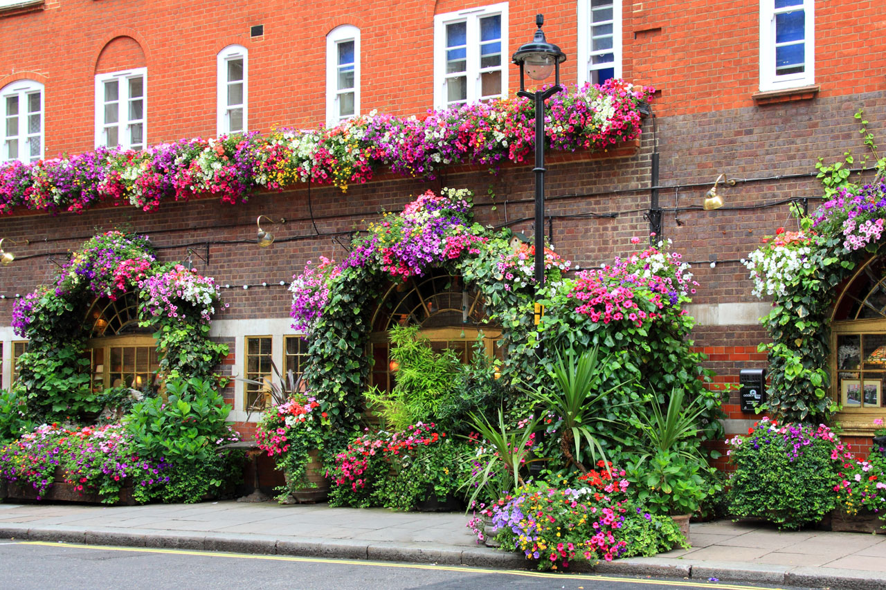 restaurant decorated with flowers in London