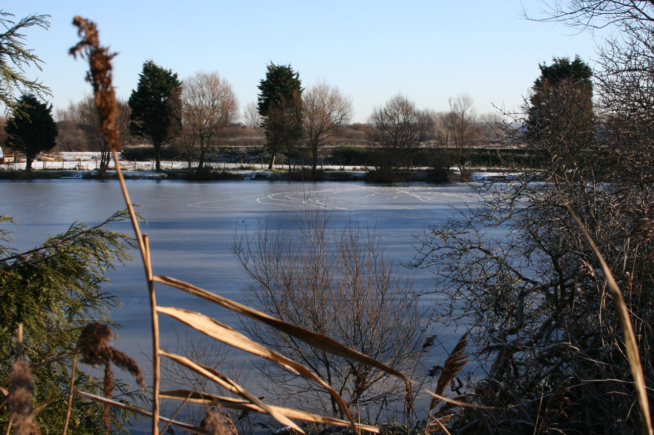 frozen-lake-free-stock-photo-public-domain-pictures