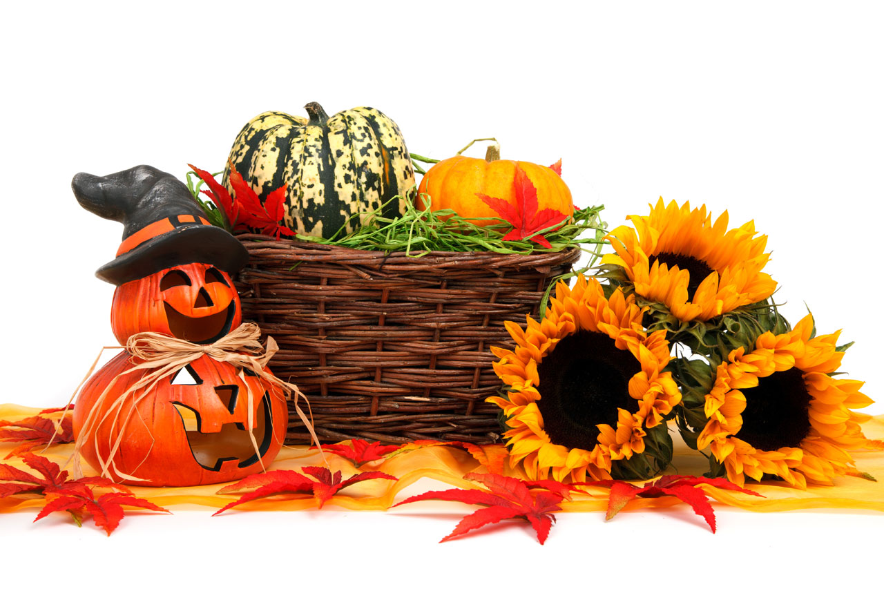Halloween Harvest Decoration