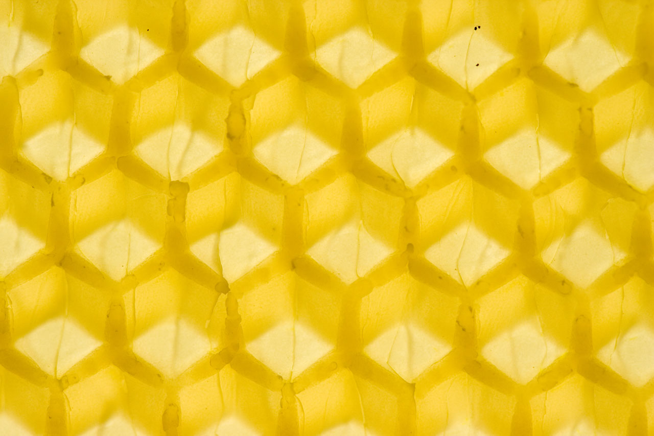 A macro photo of the honeycomb template