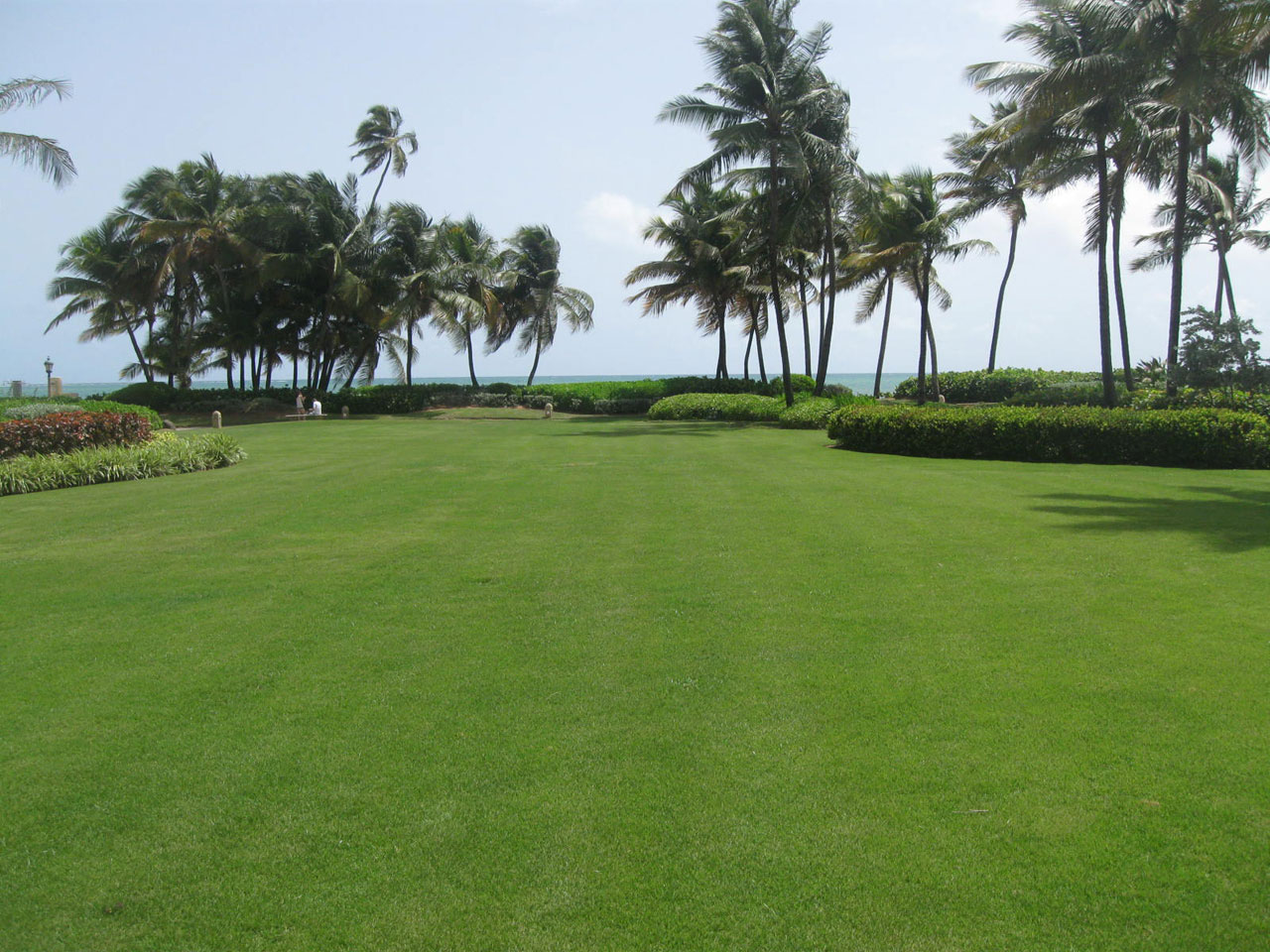 lawn in Puerto Rico