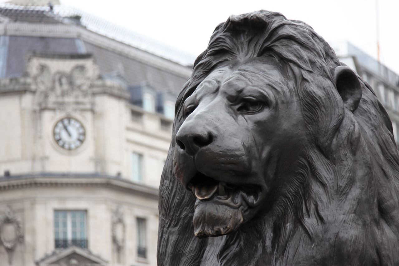 lion statue on the Trafalgar square in London