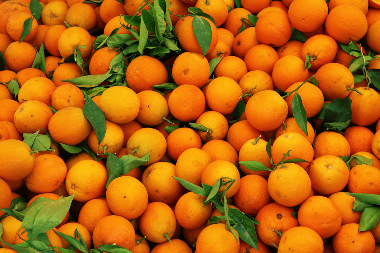 Orange Fruit Pattern