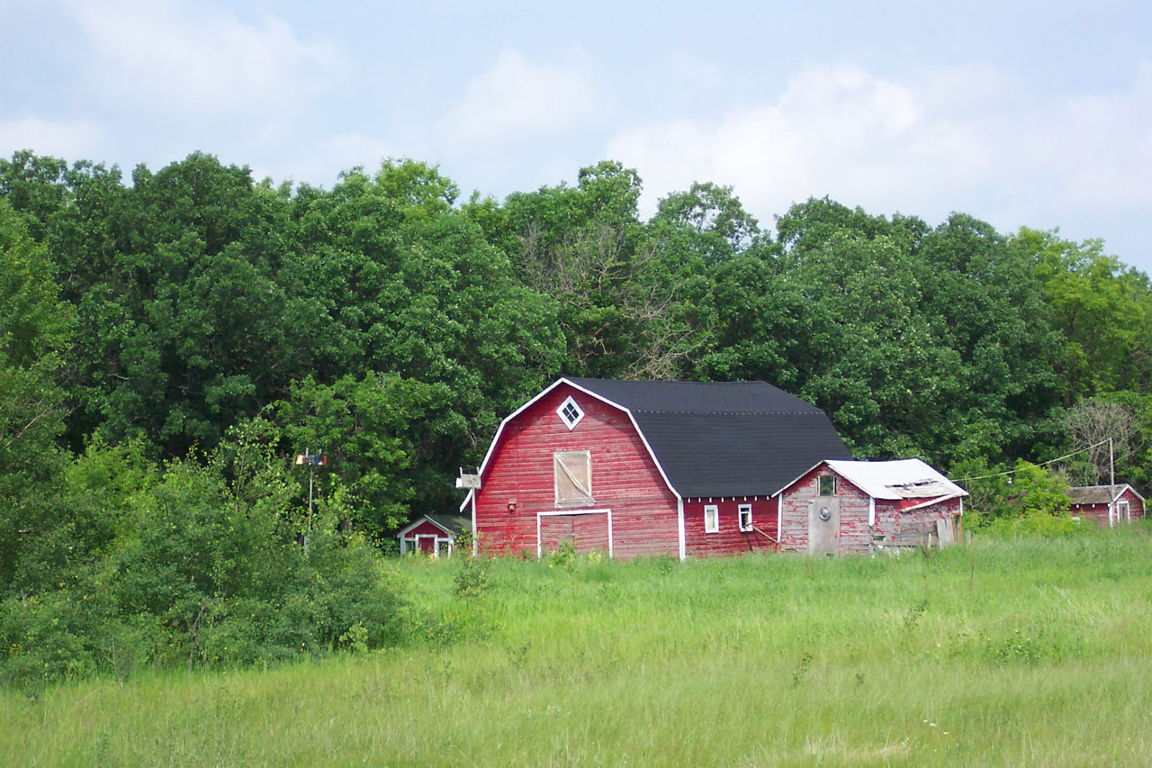 Red Barn and sheds in a field