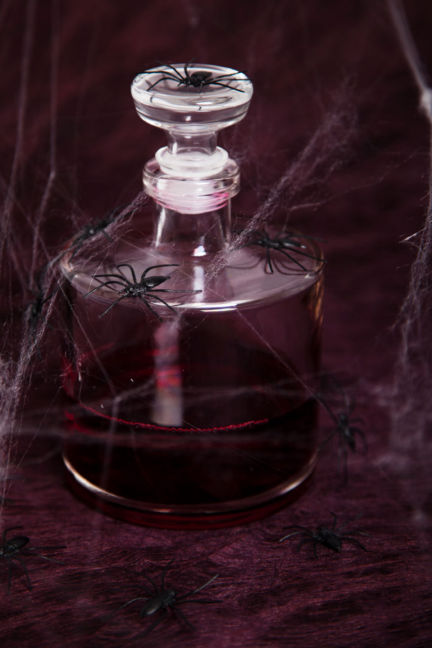 Spiders On Bottle