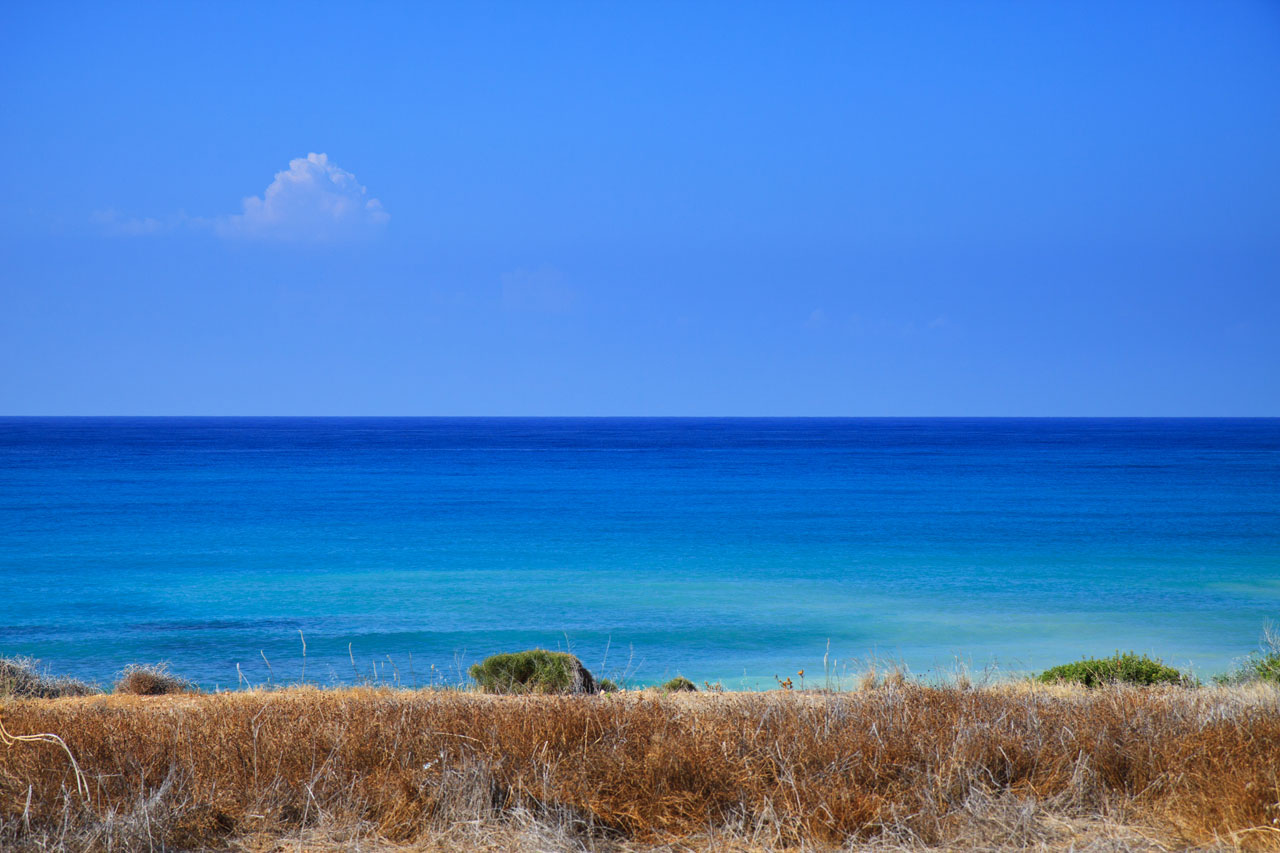 turquoise sea and blue sky with some dry grass in the foreground