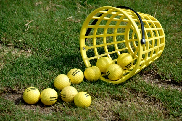 Košík Golfové míčky Stock Fotka zdarma - Public Domain Pictures