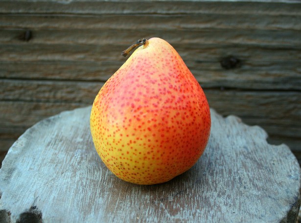 Fructe pere Poza gratuite - Public Domain Pictures