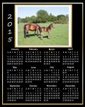 2015 Calendar Beautiful Horses