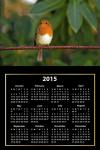 2015 Calendar Cute Bird