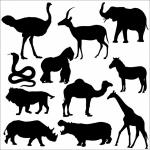 Animals Of African