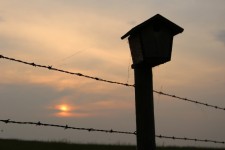 Birdhouse Post Barbed Wire Sunset