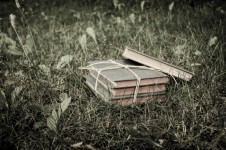 Books In The Grass