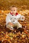 Boy Sitting In Autumn Leaves