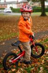 Boy With A Bike In Autumn