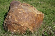 Brown Boulder Rock