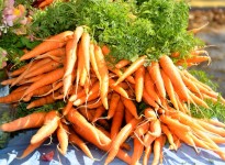 Carrots For Sale