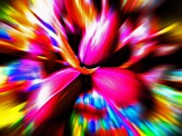 Colourful Pecan Nut Trio Zoom
