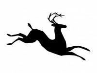Deer Stag Stylized