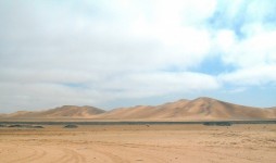 Desert Scene