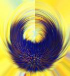 Distortion Of Poppy Seed Blur