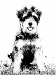 Dog Pen & Ink Illustration