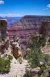Drop At Grand Canyon