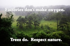 Ecology Quote