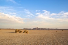 Faint Car Tracks In Desert
