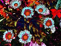 Stylized Flowers # 28