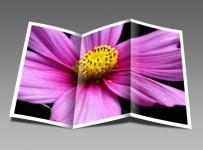 Flower Brochure