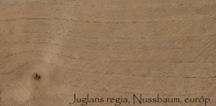 Wood Pattern, Juglans Regia