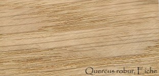 Wood Pattern, Quercus Robur