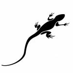 Lizard Black Silhouette