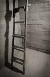 Old Ladders