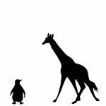 Penguin And Giraffe