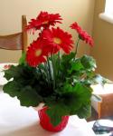 Small Red Bouquet