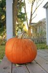 Pumpkin On Porch