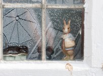 Rabbit At The Window