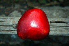 Red Apple On Dull Wood