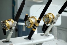 Rod And Reels
